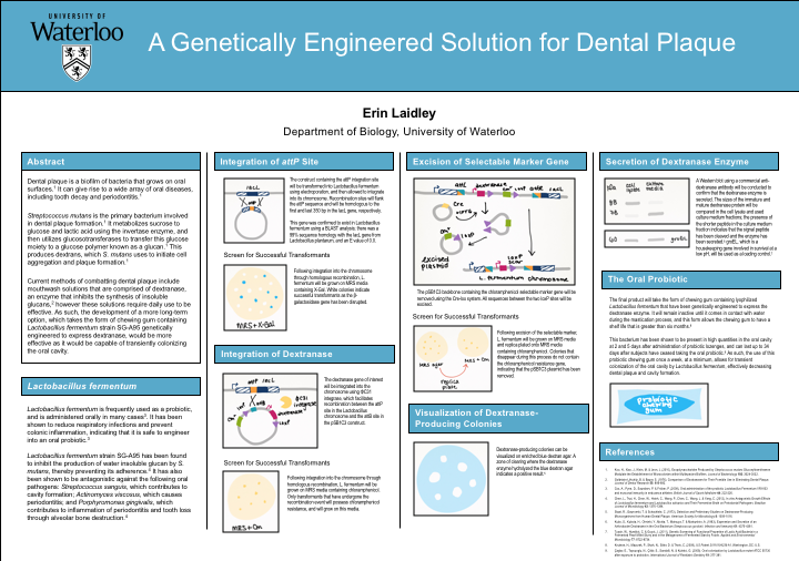 A poster showing the experimental process to produce dextranase-based chewing gum