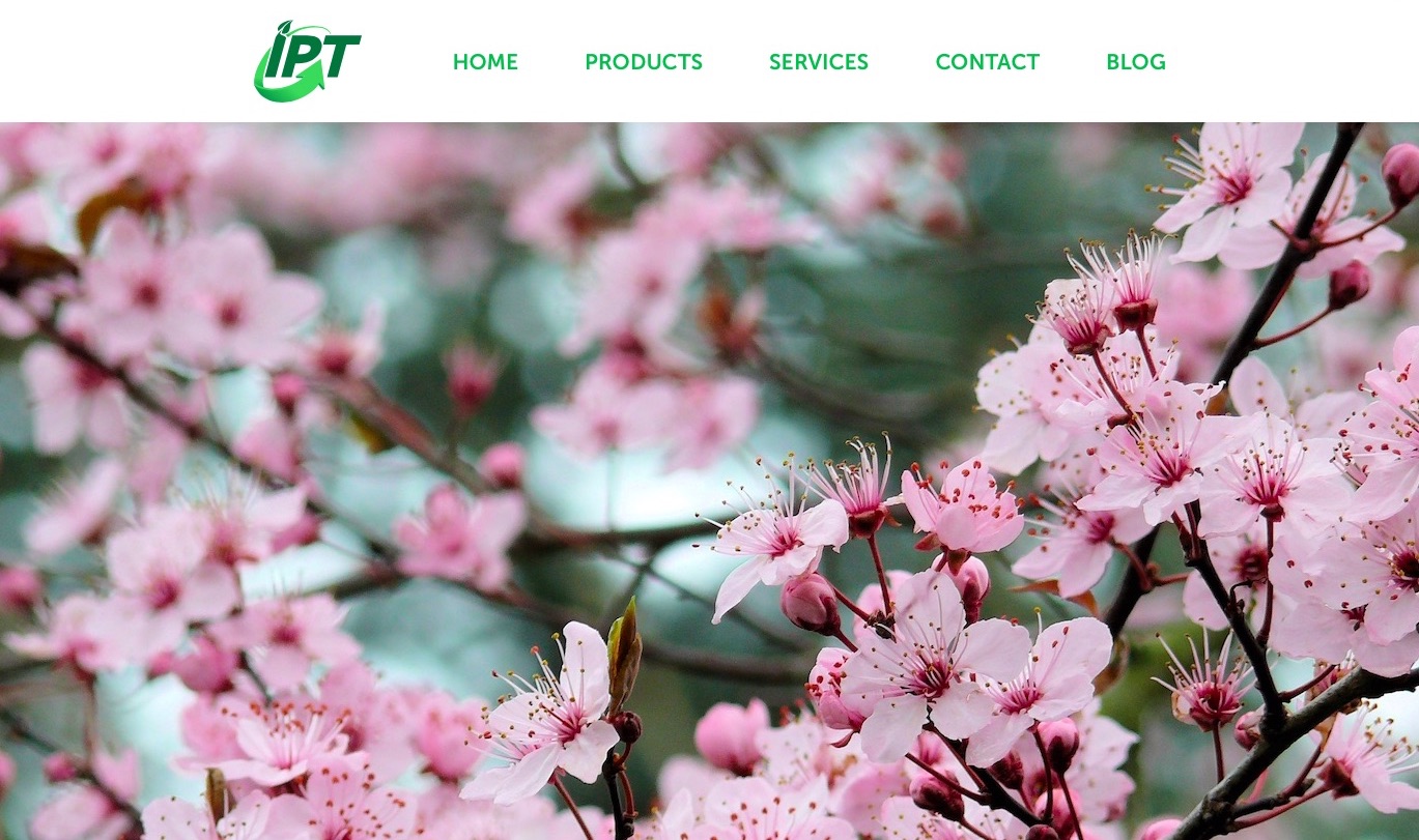 IPT website homepage